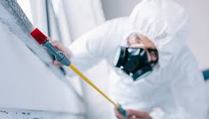 Best Pest Prevention Services  in Romeo, MI